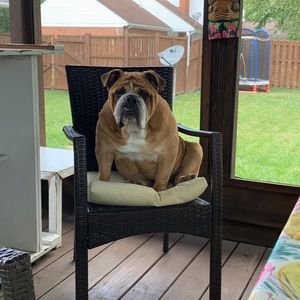 Meet your Posher, Thomas